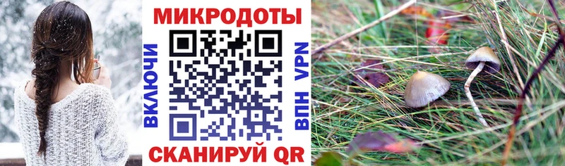 Галлюциногенные грибы мицелий  Тында 